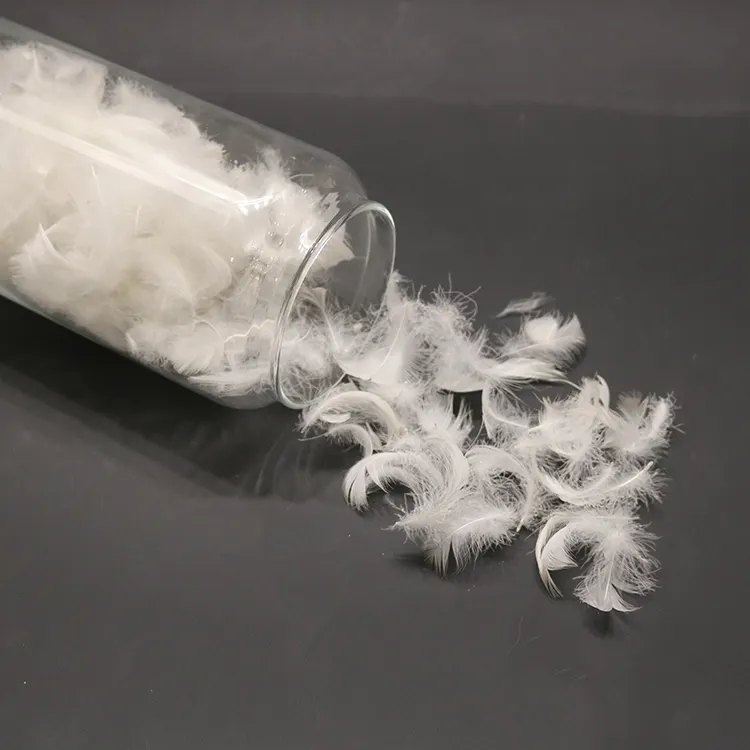 Fabrika fiyat yumuşak sıcak beyaz ördek tüyü Pluma makine yıkanabilir ördek aşağı tüy ev tekstili için