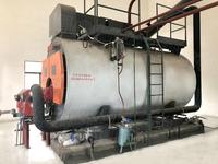 Fabrieksleverancier Gedroogd Geel Drakenfruitpoeder Voedingskwaliteit 1kg HPLC Getest Oplosmiddelextractie Fles & Vat Verpakking