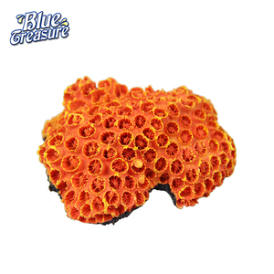 Corallo Artificiale Blu Tesoro per <span class=keywords><strong>Acquario</strong></span> Marino a Prezzo Conveniente - Product Image 6