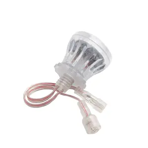 Shenzhen Rgb Pixel Module 24V Rgb Led Lighting Waterproof IP65 Pixel Led Lamps Amusement Light