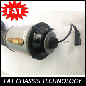 ammortizzatore anteriore destro Shock per sospensioni pneumatiche VW Phaeton pavoneggiarsi 3D0616039 3D0616040AD - Product Image 3