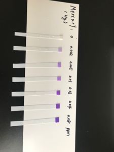 Kit de test de l'eau à domicile, lot de 10 pièces, fer au plomb, cuivre, mercure et fluoré, métaux lourds