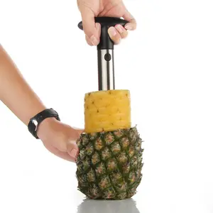 Fabrik Großhandel Custom Logo Edelstahl Praktische Ananas schneider One Step Metall Ananas Augen entfernungs messer