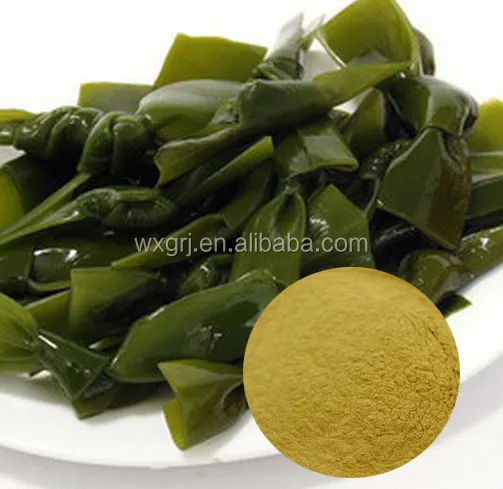 Organische Fucoxanthin Van Kelp Extract Bruin Zeewier Extract Poeder Oem Service