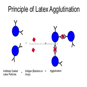 <span class=keywords><strong>Streptococcus</strong></span>-Latex-Identifikation skit Latex-Agglutination - Product Image 3