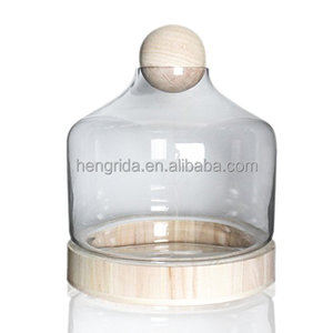Terrarium Glass Dome Cloche mit Holz sockel schmücken eine schöne Kuppel Luft pflanze Glas birne Miniatur - Product Image 1