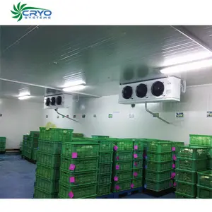 Cooling Room Chicken Fresh Eggs Fresh Banana French Fries Cooling Room Frozen Chicken Cold Storage Pu Panel Cold Room