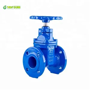 PN10 PN16 Flens Nodulair Casting Iron Gate Valve Hydraulische Klep Met Standaard Bs Din