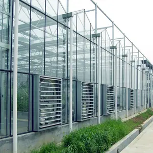 Invernadero multispan para agricultura, invernadero de vidrio Venlo, sistema de cultivo hidropónico, invernadero comercial para cultivo