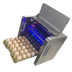 Ink jet printer for the coded chicken egg