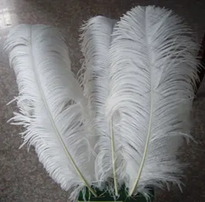 South Africa Wholesale Bulk 65-70センチメートル大White Ostrich Feathers結婚式のセンターピースデコレーション