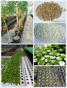 Substrats horticoles <span class=keywords><strong>Vermiculite</strong></span> Perlite pour la plantation de tomates et de légumes - Product Image 5