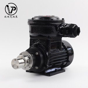 Pompe à engrenages à entraînement magnétique AC380V avec <span class=keywords><strong>convertisseur</strong></span> de fréquence pour le transfert de liquides industriels - Product Image 4