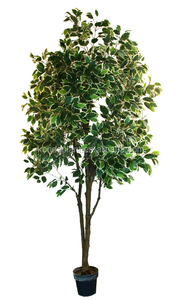 Macetas de plantas de hoja perenne árbol de ficus Artificial para la venta artificial al aire libre - Product Image 1