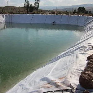 Forro de lagoa de fazenda de peixe plástico preto barato hdpe gemembrana preço