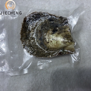 Ngọc trai trong vỏ trai 6-7mm, màu đẹp, bán buôn, món quà tuyệt vời - Product Image 4