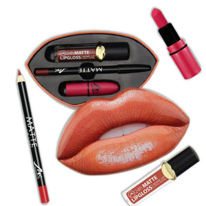 Marque privée en gros bouche conteneur longue durée lipgloss imperméable à l'eau lèvre liner mat cosmétiques rouge à lèvres <span class=keywords><strong>kit</strong></span> - Product Image 1