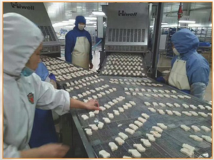 Machine à hamburger, pommes <span class=keywords><strong>de</strong></span> <span class=keywords><strong>terre</strong></span> et légumes, ustensile pour légumes - Product Image 6