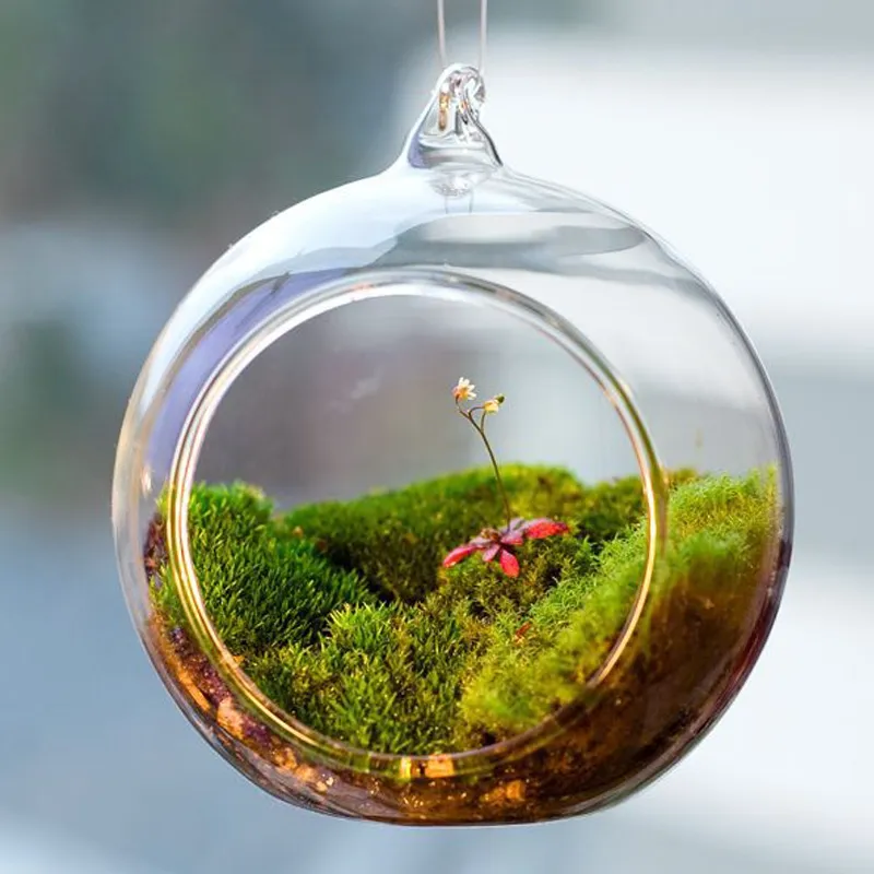 Terrarium Ball Globe Form Klare Hängende Glas Vase Blume Pflanzen Container Micro Landschaft DIY Hochzeit Home Decor