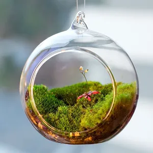 Terrarium 球形球形透明悬挂玻璃花瓶花卉植物容器微景 DIY 婚礼家居装饰