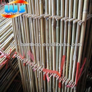 Cầu Thang Tre Nhỏ - Product Image 3