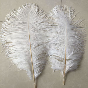 Plumes d'<span class=keywords><strong>autruche</strong></span> artificielles blanches de 40 à 45 cm, <span class=keywords><strong>prix</strong></span> de gros, pour la décoration de mariage - Product Image 3
