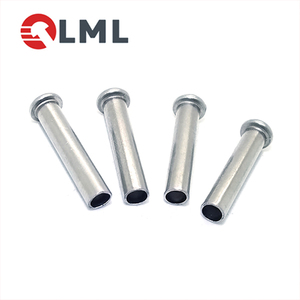 Encargo en frío precio bajo 10mm cabeza de metal de aluminio de acero de hierro remaches huecos - Product Image 2
