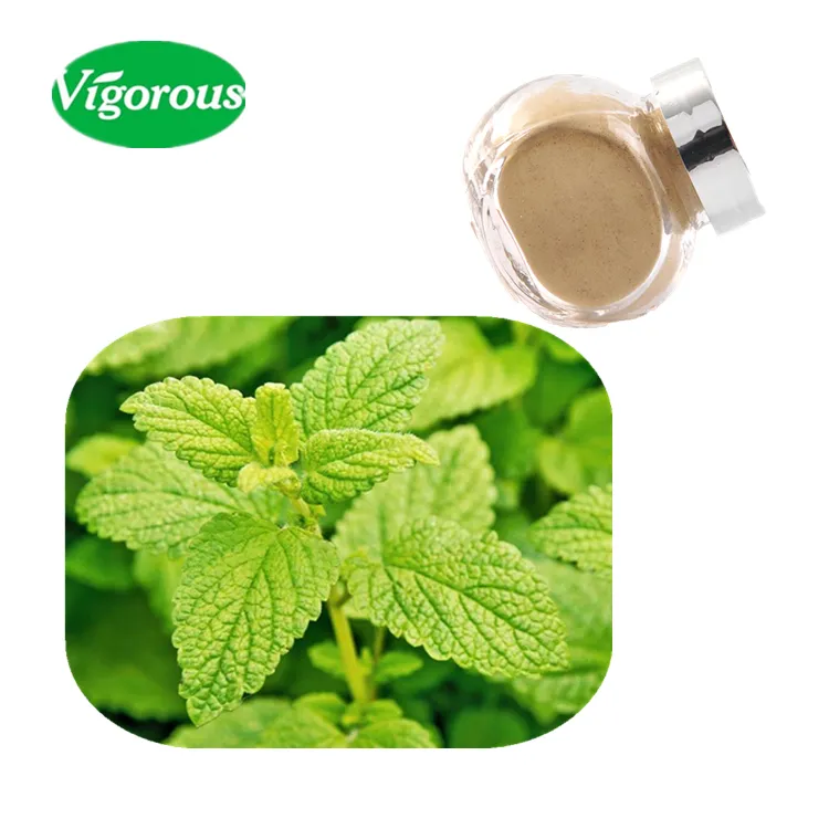 Pengiriman Dalam 24 Jam Ekstrak Lemon Balm/Ekstrak Melissa Officinalis