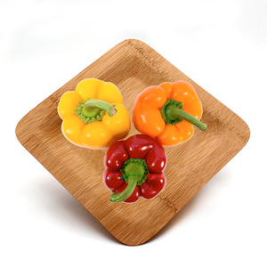 Assiettes jetables en bambou écologiques, pièces, assiettes à <span class=keywords><strong>Sushi</strong></span>, vente en gros - Product Image 5