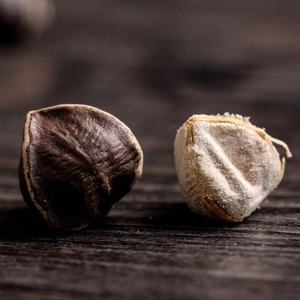 Mẫu miễn phí pkm2 hạt giống Moringa hạt giống bột xuất khẩu chất lượng Moringa hạt giống trong túi bao bì - Product Image 5