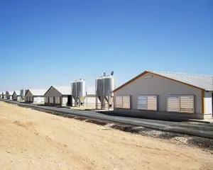 Construcción de una granja avícola, estructura de acero prefabricada, barata, nuevo diseño