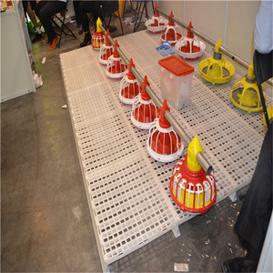 Super Septembre Chine fournisseur utiliser poussins <span class=keywords><strong>de</strong></span> <span class=keywords><strong>chair</strong></span> taux taux cages pour l'ouganda en poussins <span class=keywords><strong>de</strong></span> <span class=keywords><strong>chair</strong></span> cages - Product Image 3