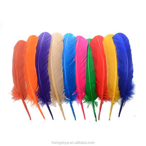 제조업체 HP-16 하이 퀄리티 10-13 인치 터키 모방 독수리 퀼 - Product Image 3