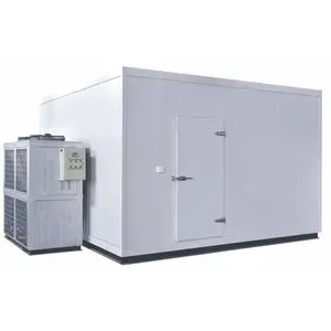 20FT 40FT Container Freezer Cold Storage Room and Chiller Freezer Container