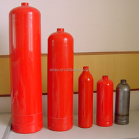 Cylindre d'extincteur d'incendie 1 kg 2 kg 4 kg 6 kg 9 kg 12 kg Type portable Cylindres d'extincteurs d'incendie