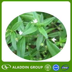 100% tinh khiết thực phẩm lớp oldenlandia diffusa chiết xuất bột chiết xuất thảo dược trong trống bao bì - Product Image 2