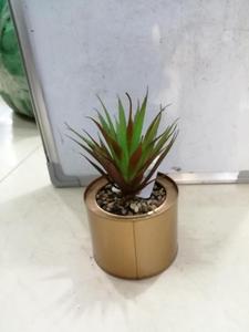 Set di 3 <span class=keywords><strong>Mini</strong></span> piante artificiali <span class=keywords><strong>Cactus</strong></span> in plastica verde erba con speciale Design in vaso dorato - Product Image 3
