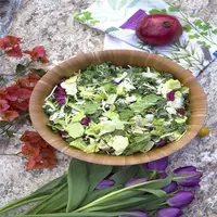 BAP ücretsiz ucuz salata kasesi tasarımı