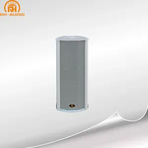 RH-AUDIO Colonne 2 Voies Haut-Parleur Système De SONORISATION Professionnel avec Corne Tweeter pour le GYMNASE