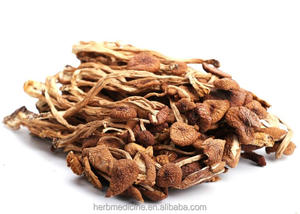 CHENGYITANG Champignons séchés Agrocybe <span class=keywords><strong>Aegerita</strong></span> & Cylindracea, champignons comestibles bruns cultivés naturellement, 1KG - Product Image 2