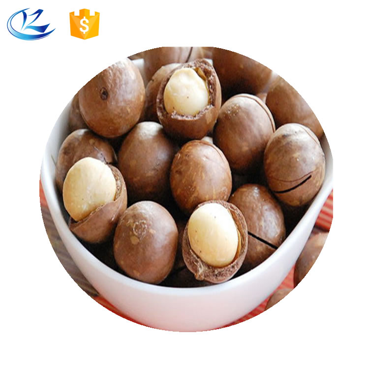 Новый Урожай орехов макадамии по лучшей цене