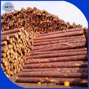 2018 NEW Top on sale wood logs Yellow and red Pine wood logs