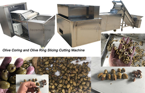 Machine à séparer les noyaux <span class=keywords><strong>de</strong></span> <span class=keywords><strong>mangue</strong></span>, retirer les noyaux pour le traitement des mangues - Product Image 3