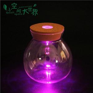 Vendite Dirette della fabbrica Mouthblown Borosilicato di Vetro <span class=keywords><strong>Piante</strong></span> Terrario/Vaso Di Vetro 11.5 centimetri * 12.5 centimetri 10 centimetri * 12.5cm - Product Image 4