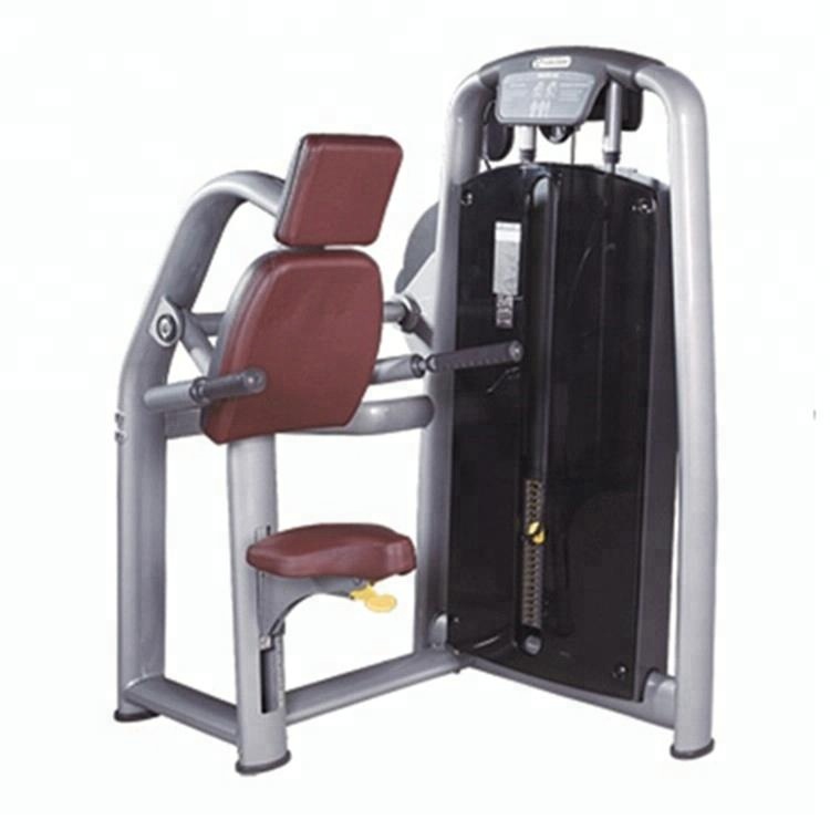 Bodybuilding Strength Machine Triceps Dip| Alibaba.com