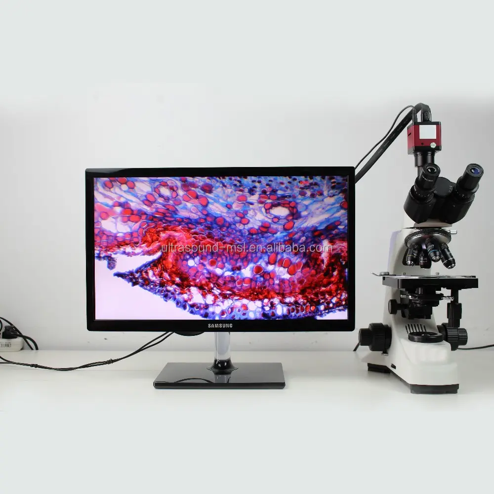 Microscopio Trinocular biológico para laboratorio clínico, con cámara digital, MSL-500T