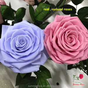 Fleurs préservées en gros dans du verre, tête de <span class=keywords><strong>rose</strong></span> de 10 cm, décoration florale, roses préservées - Product Image 5