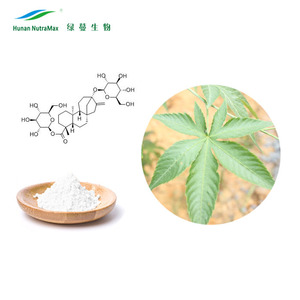 Rubus 잎 추출물 분말 Rubus Suavissimus 중국어 달콤한 잎 70% Rubusosides