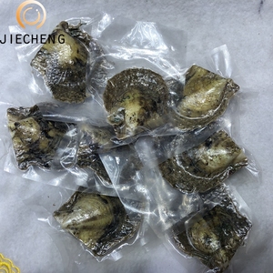 6-8mm 아코 야 진주 굴 도매 한 녹색 진주 굴 쉘 - Product Image 3