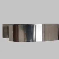 Magntic schermatura permalloy striscia 1J79 Mu-striscia di metallo con l'alta permeabilità